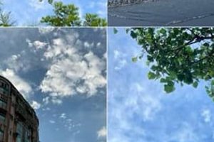 画像 結合 iPhoneで簡単に写真を一つに