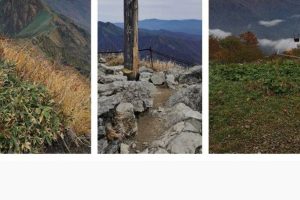 複数 の 写真 を 一 枚 に iPhone アプリ なしで実現