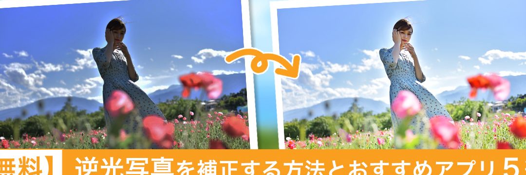 逆光 写真 補正 iPhoneでプロ並みの仕上がり 9 e98086e58589 e58699e79c9f e8a39ce6ada3 iphonee381a7e38397e383ade4b8a6e381bfe381aee4bb95e4b88ae3818ce3828a