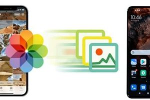 iPhoneAndroid写真共有アプリでスムーズな共有を実現