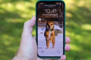 iPhone一番大きいサイズで快適な操作を今すぐ