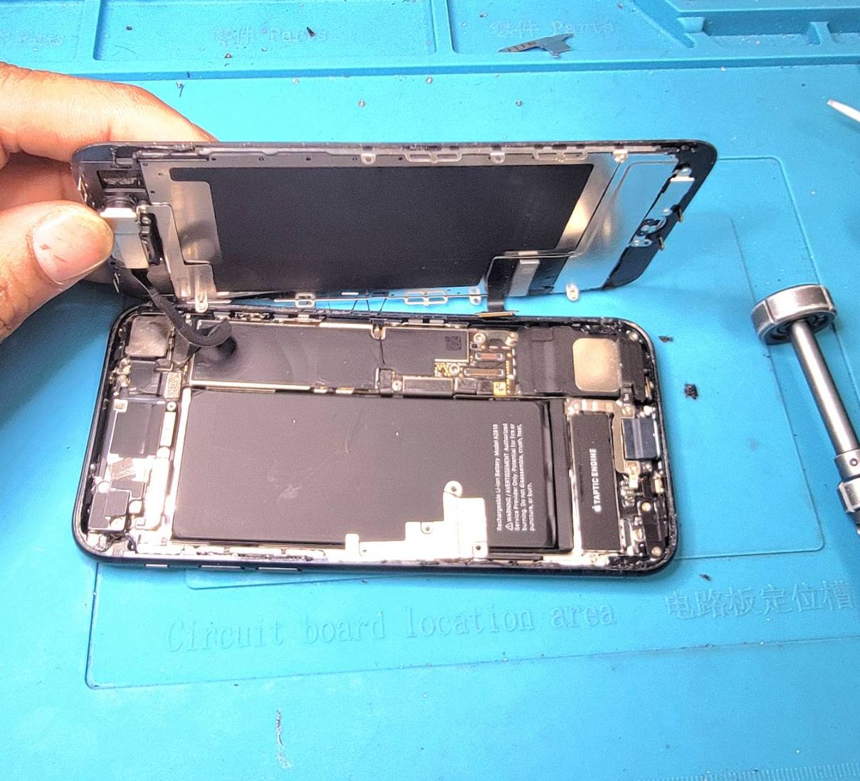 iphonee7b494e6ada3e38390e38383e38386e383aae383bce4baa4e68f9be381a7e995b7e68c81e381a1e38292e5ae9fe78fbee38199e3828be696b9e6b395